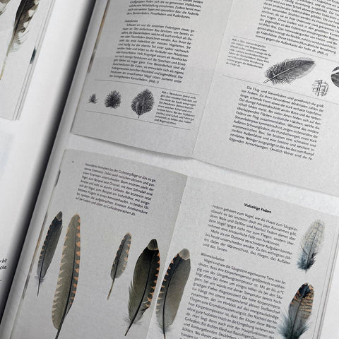 Typobiography / Jost Hochuli: The Work of 60 Years