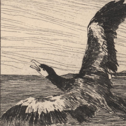 ex libris Aug(ust) F. Ammann (Otto Ubbelohde)
