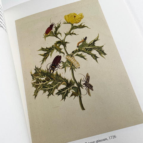 Unseen Hands: Women Printers, Binders, and Book Designers