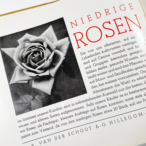 welt-antiqua: Für den schönen Katalog