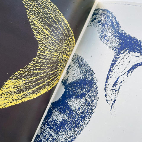 Jean Widmer: A Devotion to Modernism