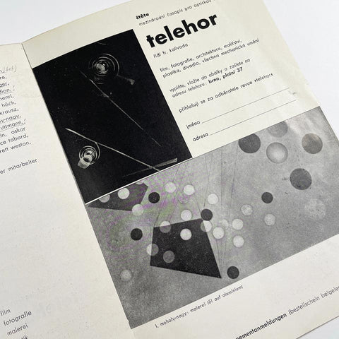 [a prospectus for telehor]