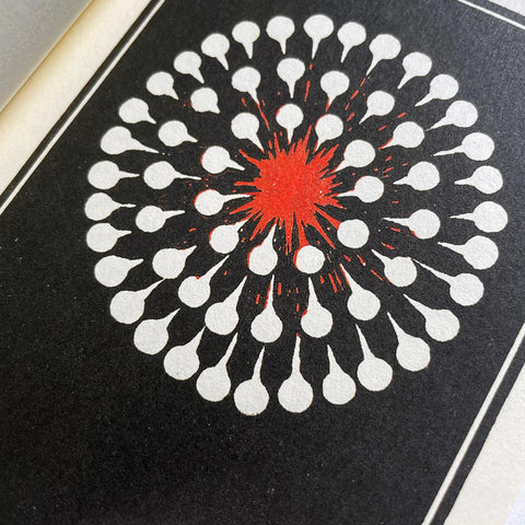Fuochi d’artificio: Catalogo illustrato