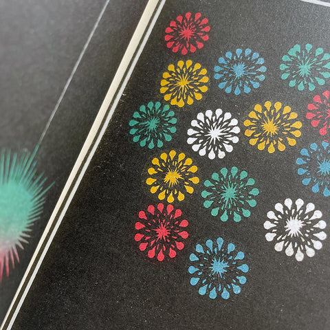 Fuochi d’artificio: Catalogo illustrato