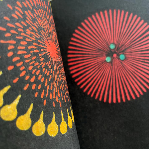 Fuochi d’artificio: Catalogo illustrato