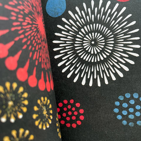 Fuochi d’artificio: Catalogo illustrato
