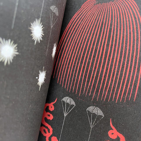 Fuochi d’artificio: Catalogo illustrato