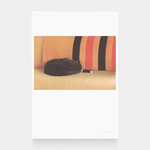 Mohawk Graphics Collection: The Graphic Art of Paul Rand